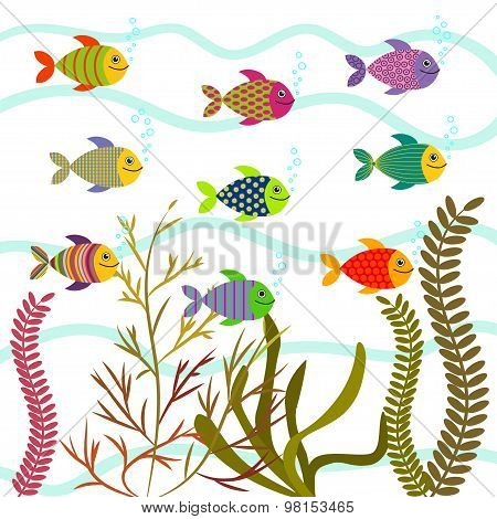 Colorful Sea Fishes. Underwater Nature.