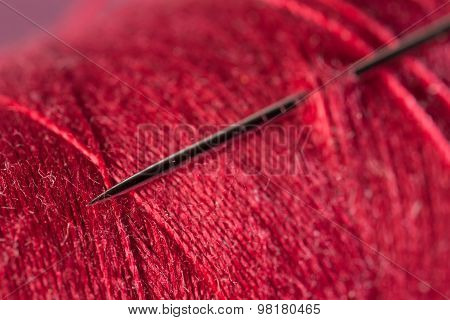 Needle And Thread