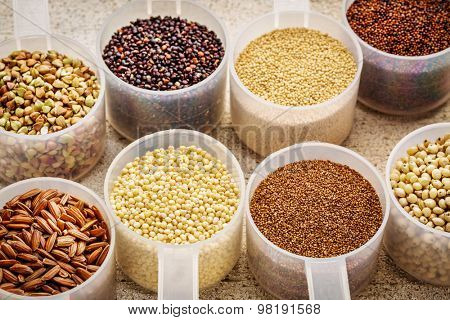 gluten free grains (quinoa, brown rice, kaniwa, amaranth, sorghum, millet, buckwheat, teff) - plastic measuring scoops on a rustic white painted barn wood