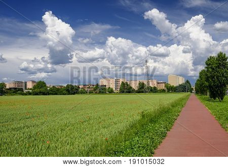 Springtime landscape in the park of Grugnotorto between Milan and Monza (Brianza Lombardy Italy) with poppies
