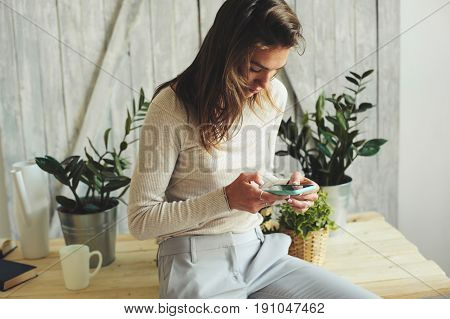 young feminine woman texting messages at home, using smartphone for social media in modern scandinavian interior