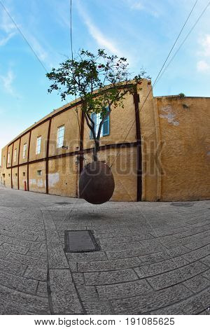 The well-known flowerpot suspended on cables with an orange tree. Old Yaffo. Israel