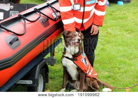 Beaulieu, Hampshire, Uk - May 29 2017: Dog And Its Handler Belonging To The Hampshire Search And Res