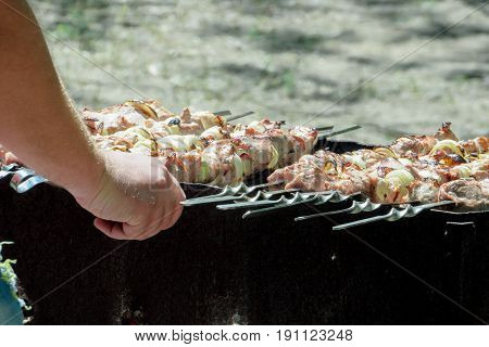Meat shish kebab on skewers lie on the grill