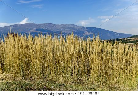 Plana village in Plana mountain near Sofia, Bulgaria