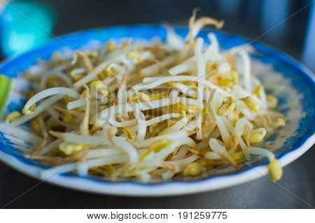 Bean Sprouts