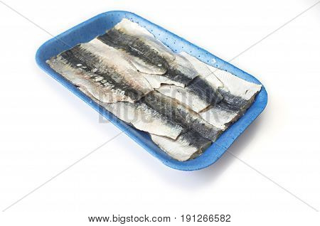 Packed tray of sardine filets from Northeast Atlantic Spain. Closeup