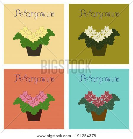 assembly of flat Illustrations nature plant Pelargonium