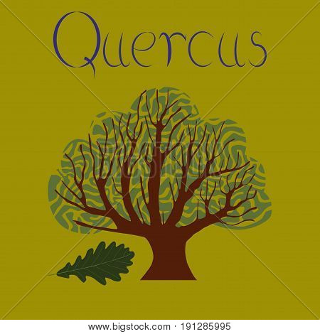 flat illustration on stylish background plant Quercus
