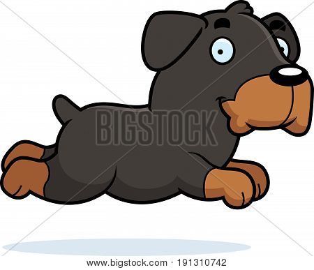 Cartoon Rottweiler Running