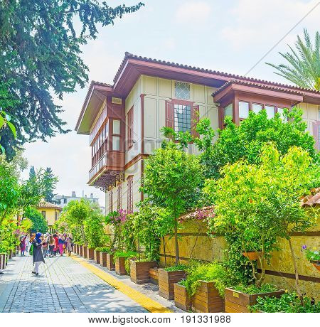 The Mansion In A Green Street