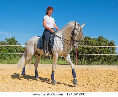 trianing of dressage for a riding girl and stallion