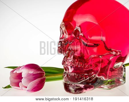 Red crystal skull glass brainpan with pink tulip flower