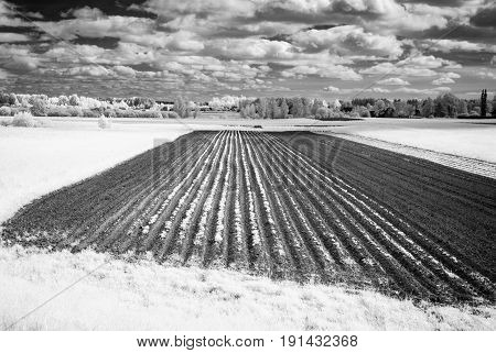 Countryside Fields In Summer. Infrared Image