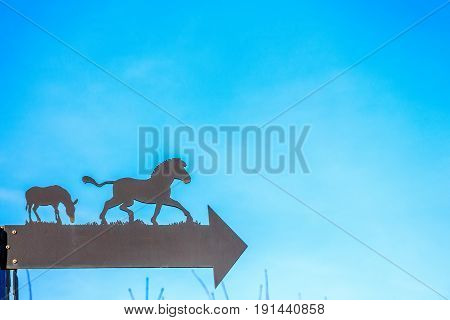 Closeup direction sign in zoo blak arrow and horse silhouettes on it with blue background