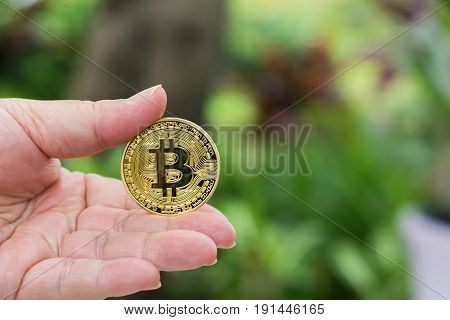 Hand holding golden Bitcoin with green natural background.