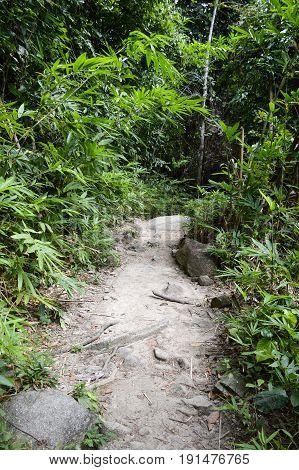 nature walkway in Khao Chamao , Rayong , Thailand