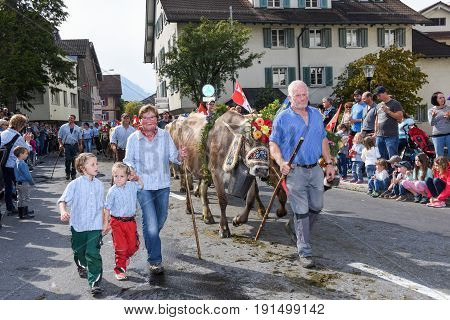 Farmers With A Herd Of Cows On The Annual Transhumance
