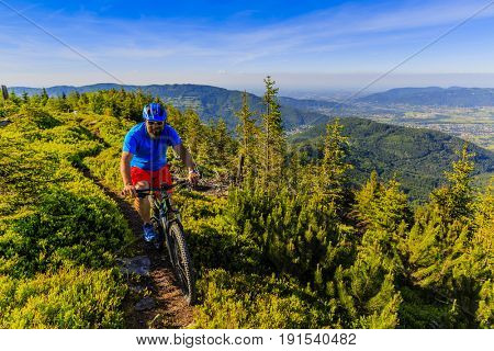 Mountain biker riding on bike in summer mountains forest landscape. Man cycling MTB outdoor sport activity.