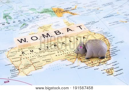 A concept photo with a toy wombat and letters on the map.
