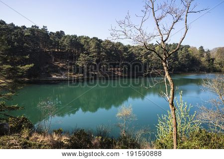 Beautiful Vibrant Landscape Image Of Old Clay Pit Quarry Lake With Unusual Colored Green Water