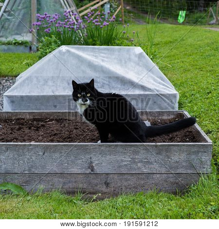 Plants growing in a small rural home