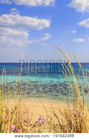 Summertime:holidays to the sea in Italy.Typical Apulia seascape: between marine dunes appears the sandy beach and surfer on the clear blue water.
