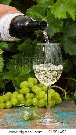 Waiter Pouring A Glass Of Ice Cold White Wine, Outdoor Terrace, Wine Tasting In Sunny Day, Green Vin
