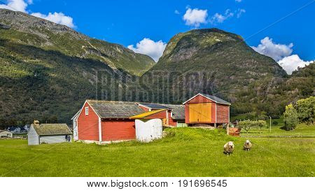 Barns And Sheep In A Farm Village