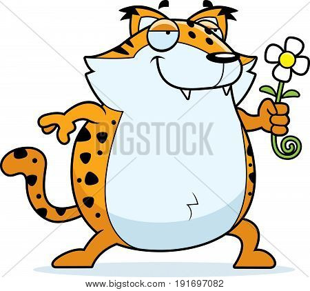 Cartoon Bobcat Flower