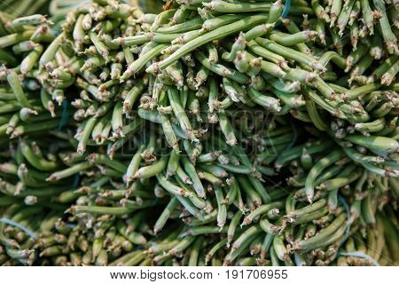 Green cowpea food texture for background use