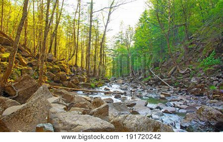 a beautiful waterfall in the forest. Wildlife, waterfalls in a deserted forest. taiga. strong and tall waterfall in forest