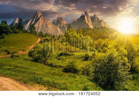 Composite summer landscape. Path through the forest on grassy hillside in High Tatras. beautiful summer weather with blue sky and some clouds at sunset