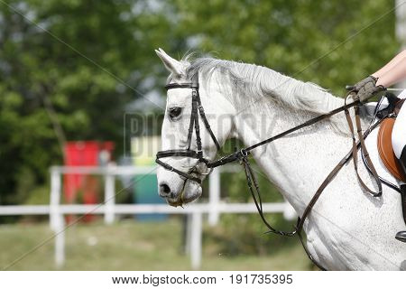 Unidentified jumping rider on horseback overcomes barriers