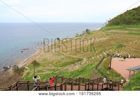 ISHSIKAWA JAPAN - MAY 5, 2017: Unidentified people visit Senmaida Rice paddy terrace Wajima. Senmaida is  the valley of 1,000 rice paddies in Wajima Japan.