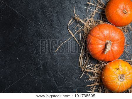 Autumn Pumpkin Thanksgiving Background - orange pumpkins over black table, top view