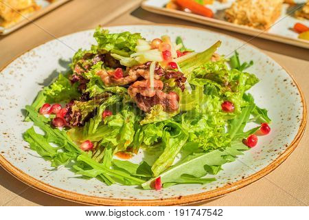 Fusion salad with duck meat and pomegranate seeds