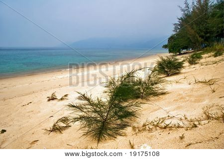 Sumuinen trooppinen ranta. Tioman island. Malesia