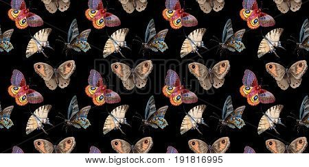 Watercolor butterfly pattern tender insect, intresting moth, isolated wing illustration. Butterfly names: swallowtail, monarch, queen. Aquarelle for background, wrapper pattern, frame or border.