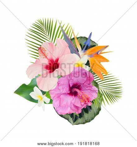 tropical flowers and leaves - fresh hibiscus and frangipani flowers and exotic palm leaves isolated on white background