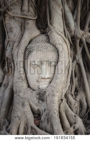 Buddha