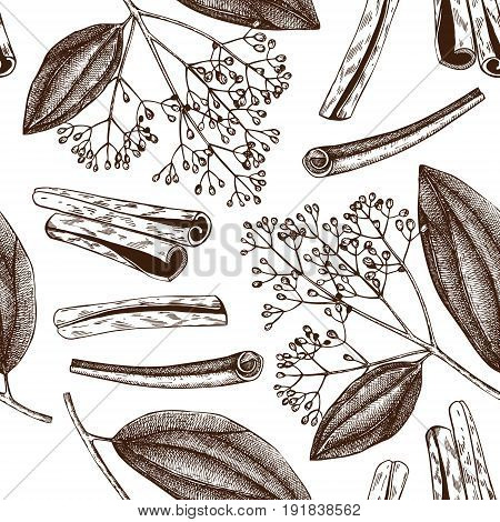 Vector hand drawn background with Cassia. Aromatic and medicinal plant sketch. Perfumery and cosmetics ingredients. Chinese cinnamon. Seamless pattern
