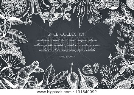 Vector card design with hand drawn spices and herbs. Decorative background with aromatic plants sketch. Vintage kitchen template. Food ingredients