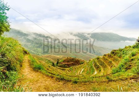 View on rice terrace fields by longesheng in China