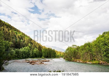 Mixed forest with a separate coniferous tree on the bank of a mountain river against the background of the Caucasus mountains and white clouds
