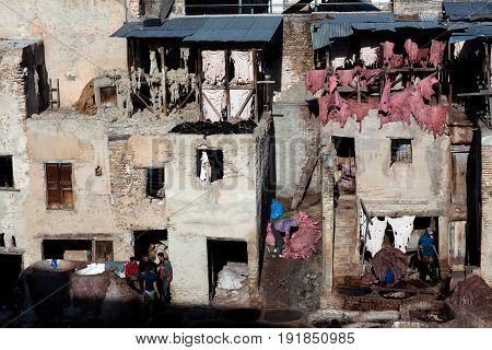 Men Working Hard In The Tannery Souk In Fez, Morocco