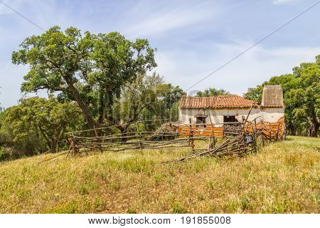 Ruins Of A Farm House And Cork Tree In Santiago Do Cacem
