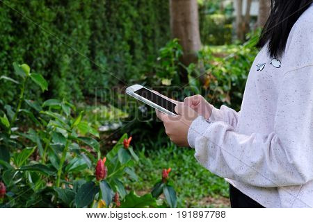Woman hand using tablet on green park background business and technology concept gen Z digital marketing lifestyle the internet of things social media network