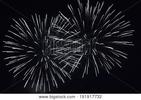 Big white  fireworks in the black night sky
