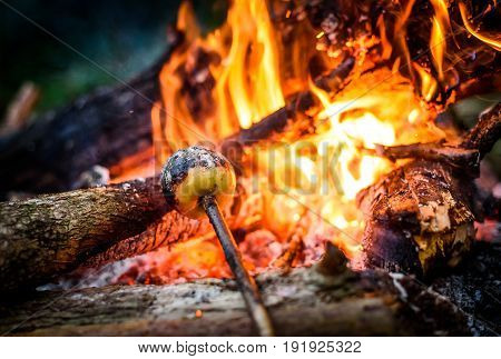 Making And Cooking Grilled Apple Over Open Camp Fire.